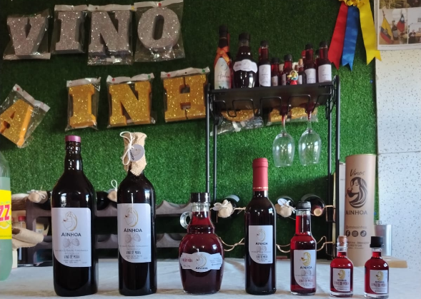 Home captura de pantalla 2026 01 06 231255