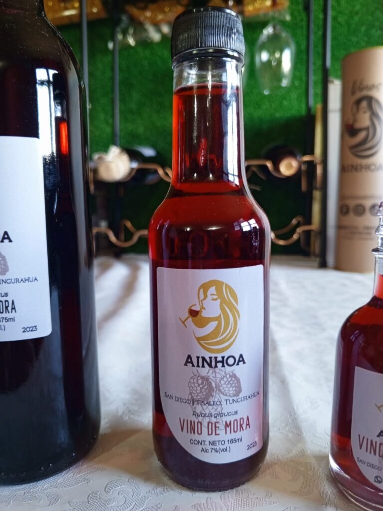 Ainhoa Vinos whatsapp image 2025 11 30 at 1.36.06 pm (1)