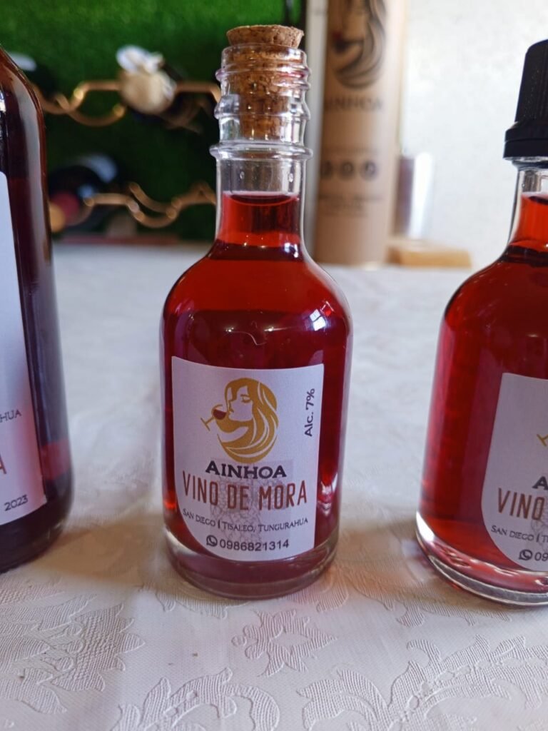 Ainhoa Vinos whatsapp image 2025 11 30 at 1.36.06 pm