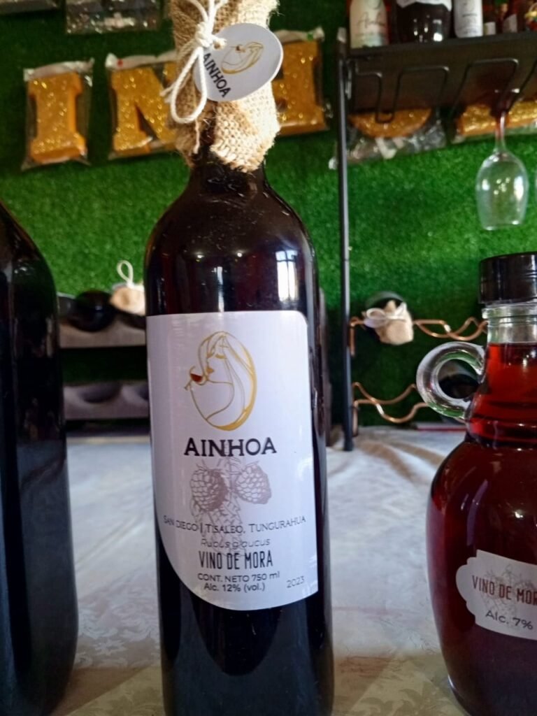 Ainhoa Vinos whatsapp image 2025 11 30 at 1.36.07 pm (1)