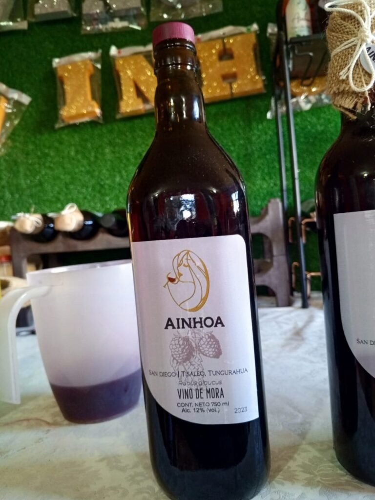 Ainhoa Vinos whatsapp image 2025 11 30 at 1.36.07 pm