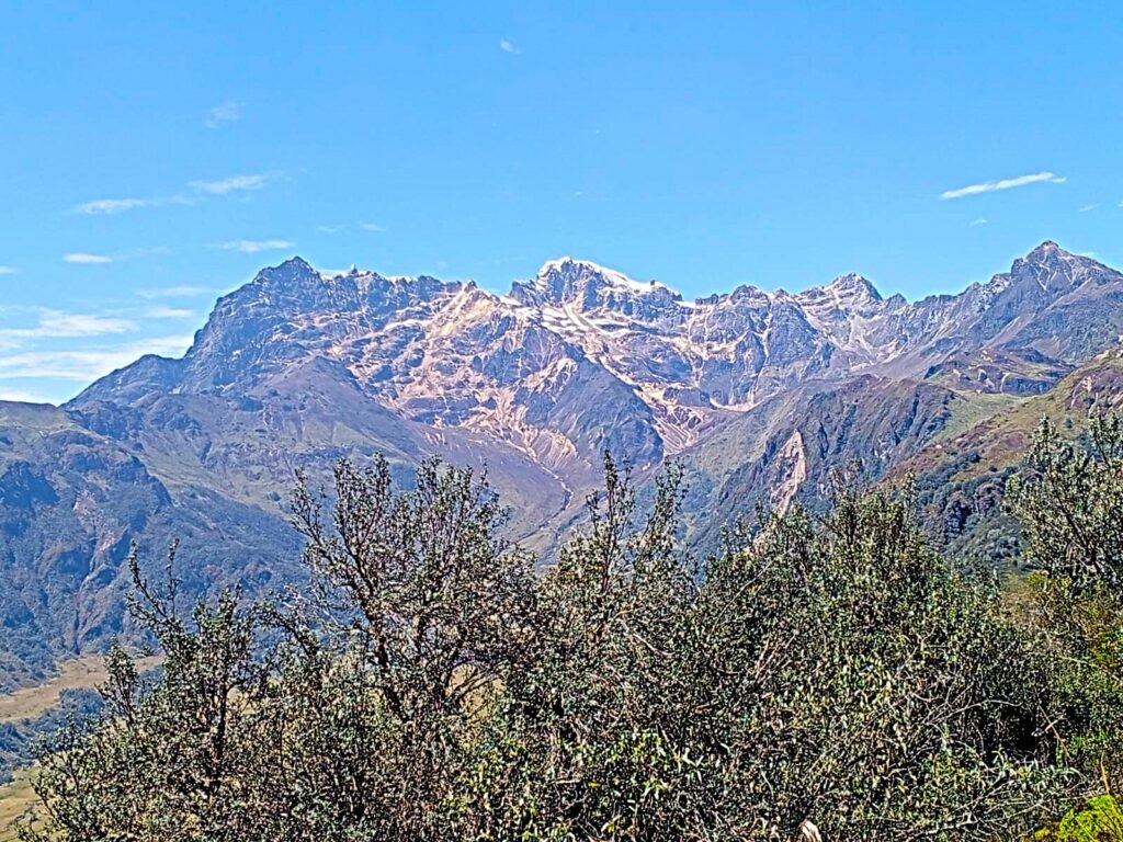 whatsapp image 2025 12 07 at 12.15.10