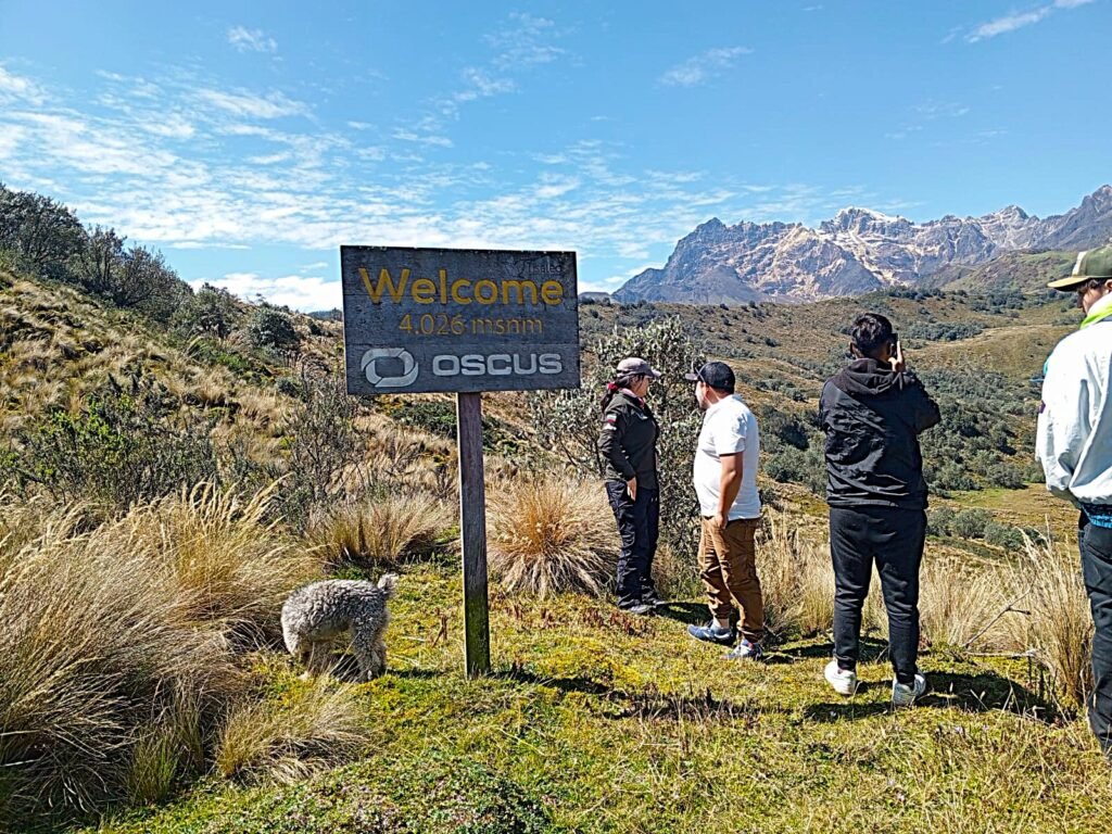 Mirador San Antonio whatsapp image 2025 12 07 at 12.15.36 (2)