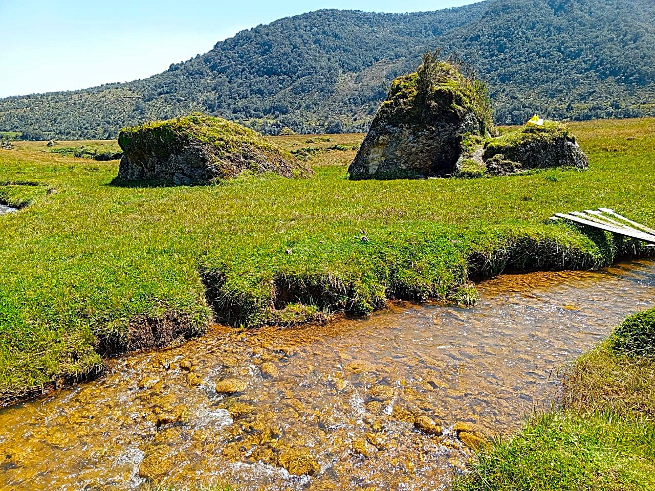 Home whatsapp image 2025 12 07 at 13.42.19