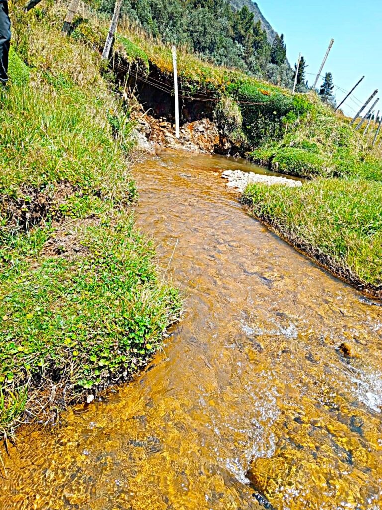 Pampas de Salasaca whatsapp image 2025 12 07 at 13.42.27 (1)