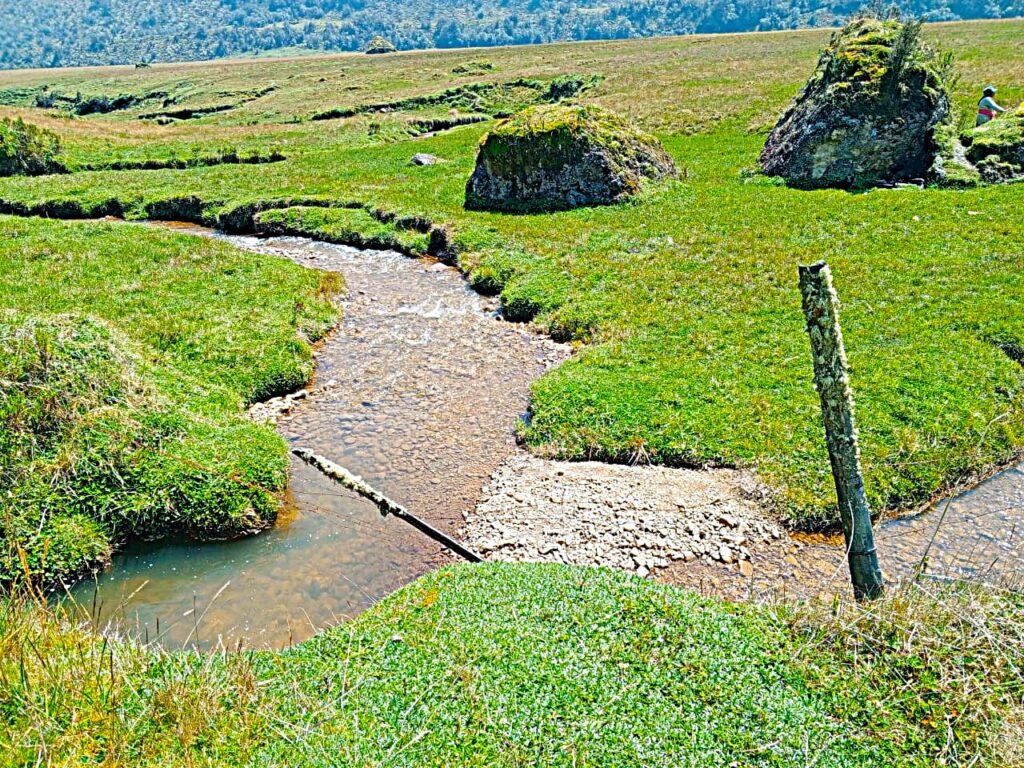 Pampas de Salasaca whatsapp image 2025 12 07 at 13.42.27
