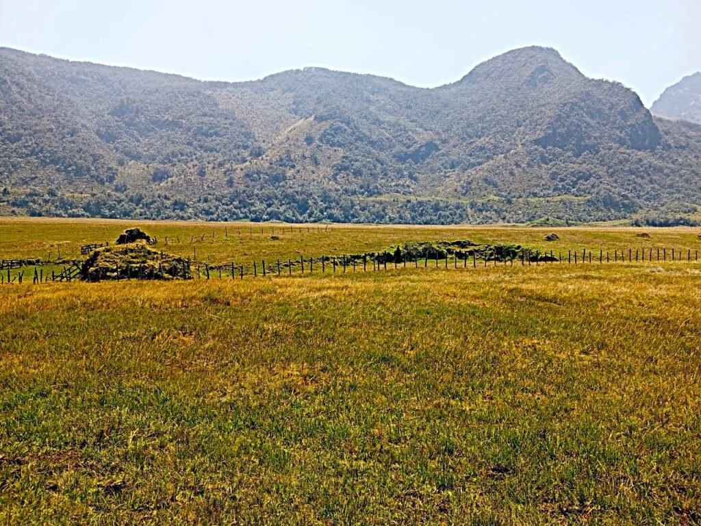 Pampas de Salasaca whatsapp image 2025 12 07 at 13.42.28 (1)