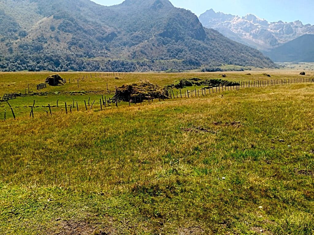 Pampas de Salasaca whatsapp image 2025 12 07 at 13.42.28 (2)
