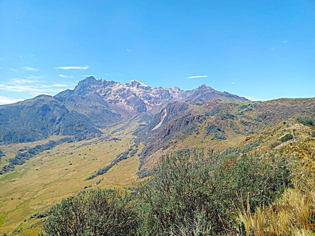 whatsapp image 2025 12 07 at 13.42.40