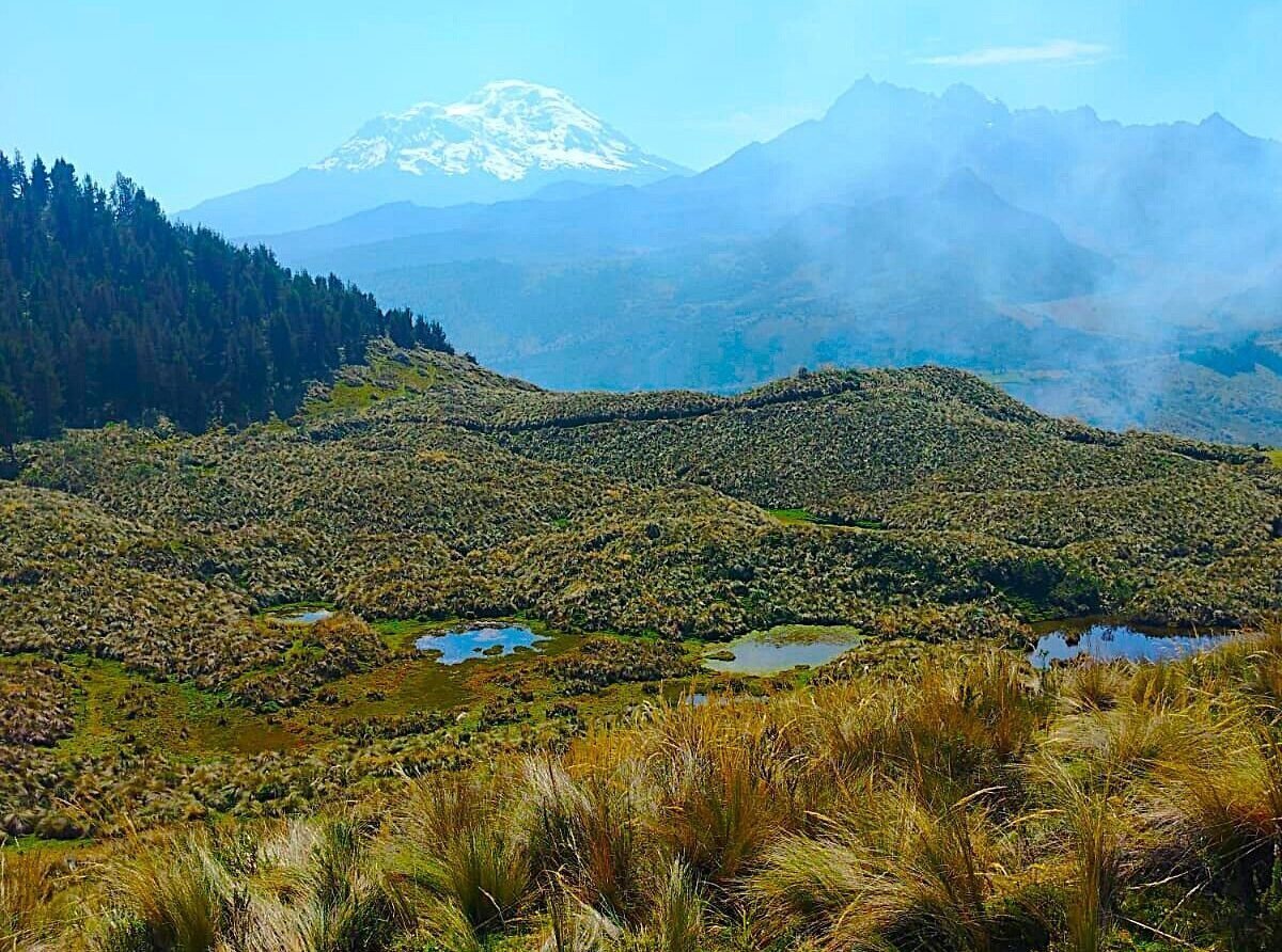 Home whatsapp image 2026 01 20 at 09.12.17