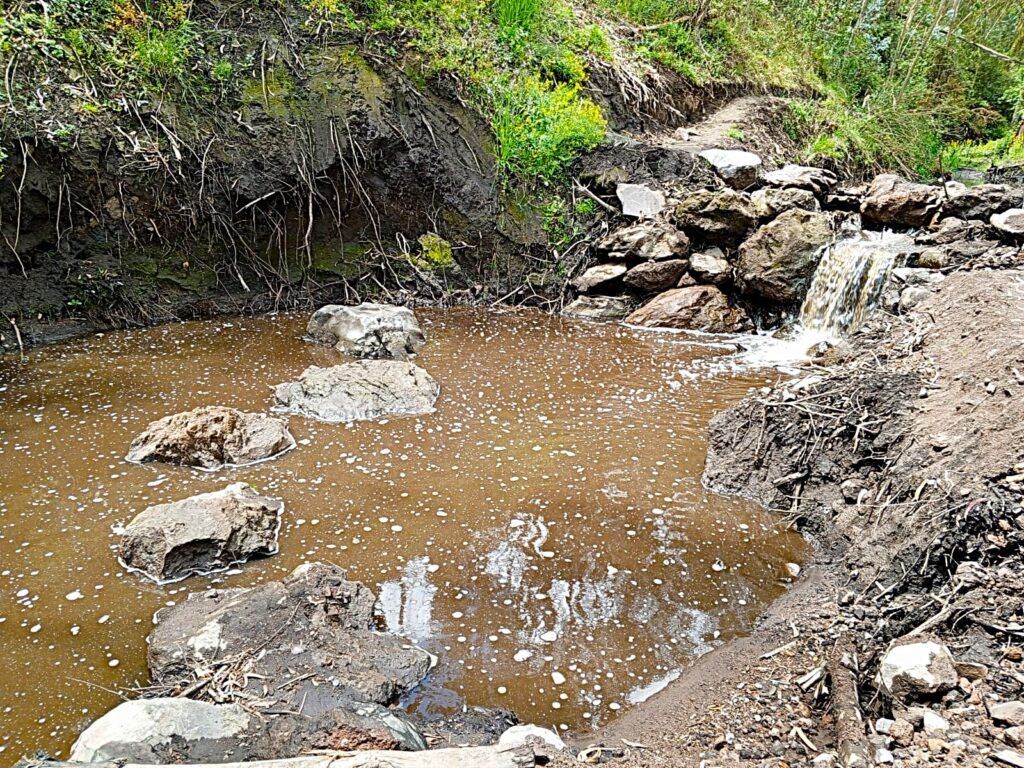 Gruta de la Virgen whatsapp image 2026 01 22 at 02.40.20