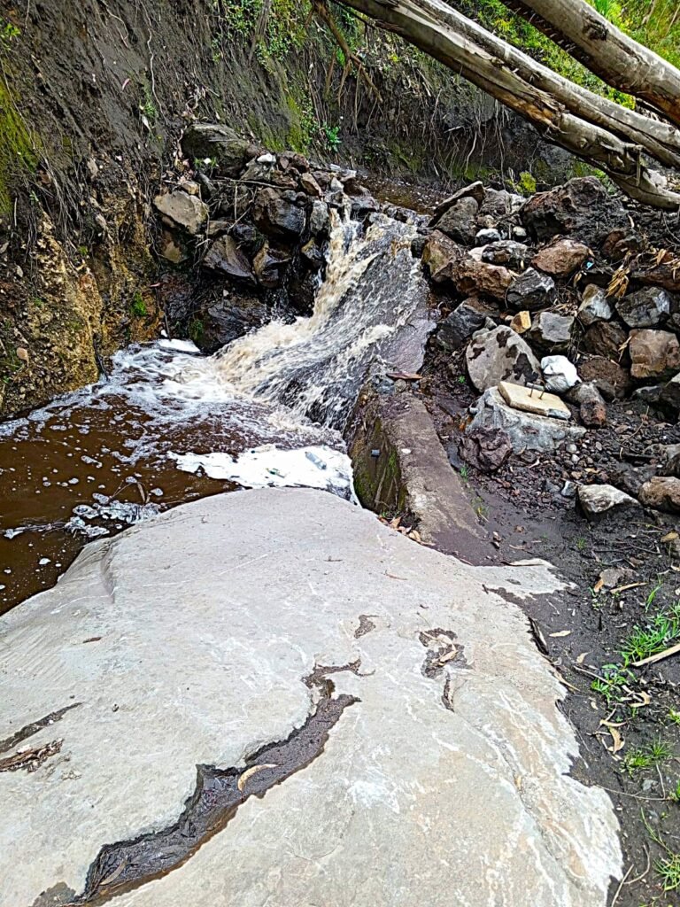 Gruta de la Virgen whatsapp image 2026 01 22 at 02.40.21
